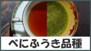 花粉症対策の緑茶！華やかな味わいの紅茶！加工で変わる超有能な｢べにふうき品種｣